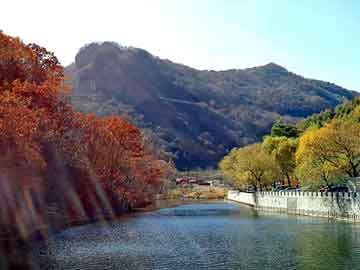 新澳天天开奖资料大全旅游团，求购传感器